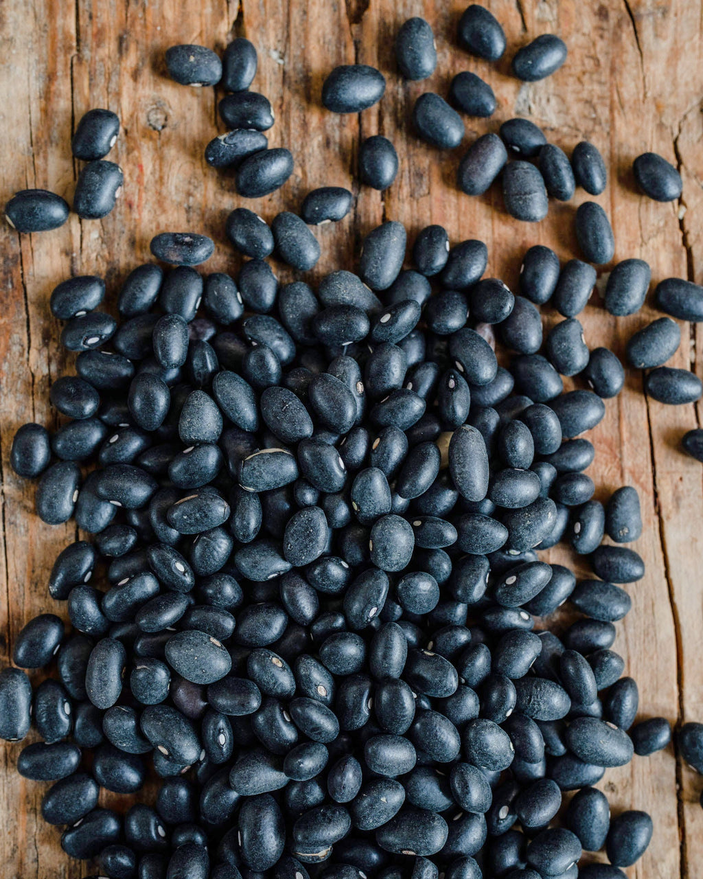 Bio Schwarze Bohnen aus AT 300g
